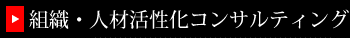 人材活用コンサルティング